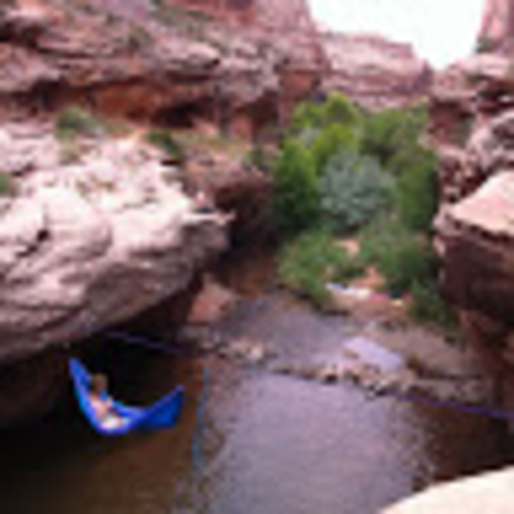 Meet your Posher, Dane